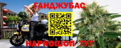 шишки Сланцы